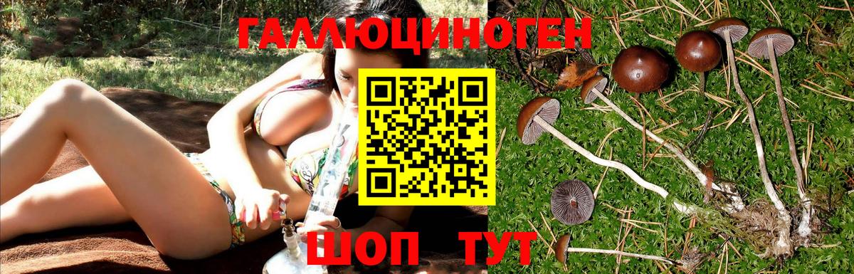 Галлюциногенные грибы MAGIC MUSHROOMS Артём